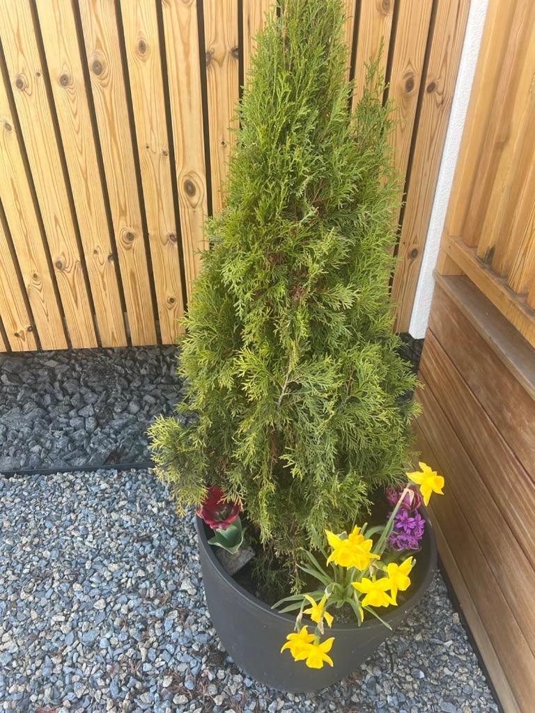 Domcek Pod Vezami S Virivkou A Grilom, Pri Termalnom Kupalisku Apartment Liptovsky Jan Luaran gambar